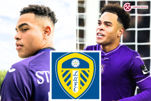 mario stroeykens leeds transfer